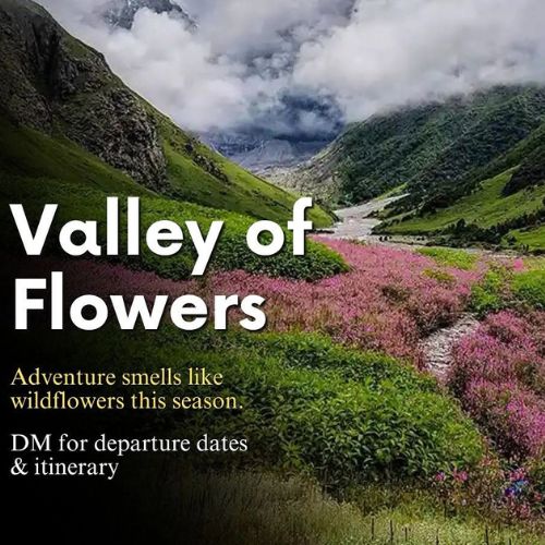 Walk Through a Dream: Valley of Flowers Trek & Tour Packages 2025